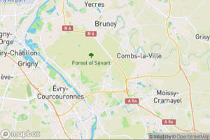 Map showing location of “The demoiselle after the shower” in Étiolles, France