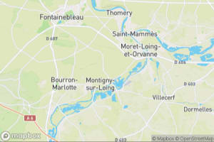 Map showing location of “Young ferns” in Fontainebleau, France