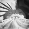 scattershot avatar
