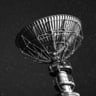 Gribouilleuse avatar