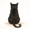 _hzw avatar