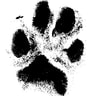 Wonderdog ????️‍???? avatar