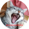 Paul avatar