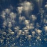 Altocumulus avatar