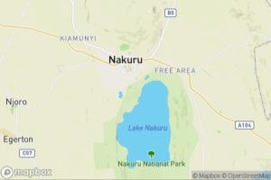 Map showing location of “Black Rhinoceros in Lake Nakuru National Park” in Lake Nakuru National Park, Kenya
