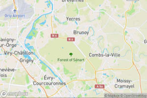 Map showing location of “Great Spotted Woodpecker” in Soisy-sur-Seine, France