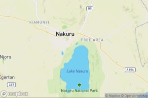 Map showing location of “Newborn African buffalo” in Lake Nakuru National Park, Kenya