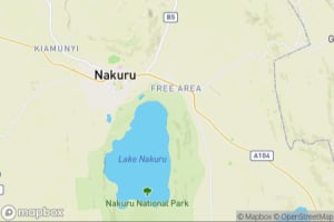 Map showing location of “Now you see me” in Lake Nakuru National Park, Kenya