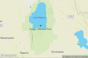 Map showing location of “Peaceful cohabitation” in Lake Nakuru National Park, Kenya