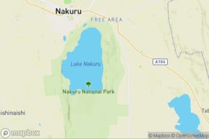Map showing location of “Pied Kingfisher in Lake Nakuru National Park, Kenya” in Lake Nakuru National Park, Kenya