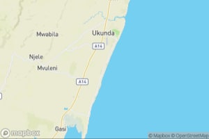 Map showing location of “Silvery-cheeked Hornbill couple” in Diani Beach, Kenya