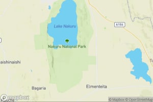 Map showing location of “Staying close” in Lake Nakuru National Park, Kenya