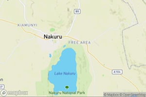 Map showing location of “Sunset on Lake Nakuru's flooded trees” in Lake Nakuru National Park, Kenya
