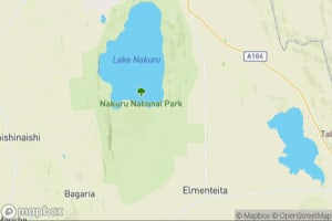 Map showing location of “The little one” in Lake Nakuru National Park, Kenya