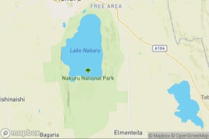 Map showing location of “What are you staring at?” in Lake Nakuru National Park, Kenya