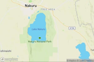 Map showing location of “Young olive baboon at sunset” in Lake Nakuru National Park, Kenya