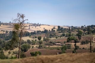 The Mau Escarpment in Great Rift Valley