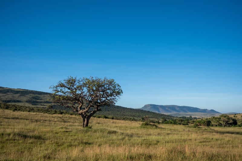 Maasai Mara National Reserve