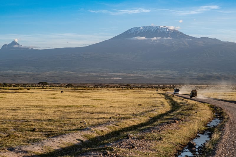 Majestic Kilimanjaro