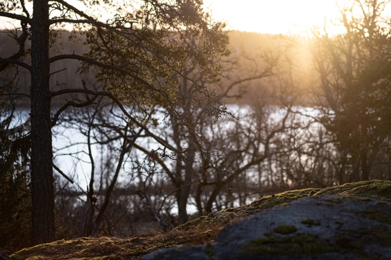 Näsuddens naturreservat