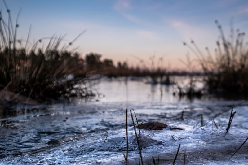 Remains of the frozen sea