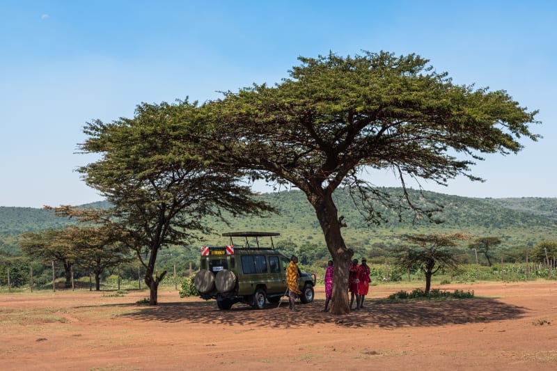 Small break with the protection of the shade of the tree