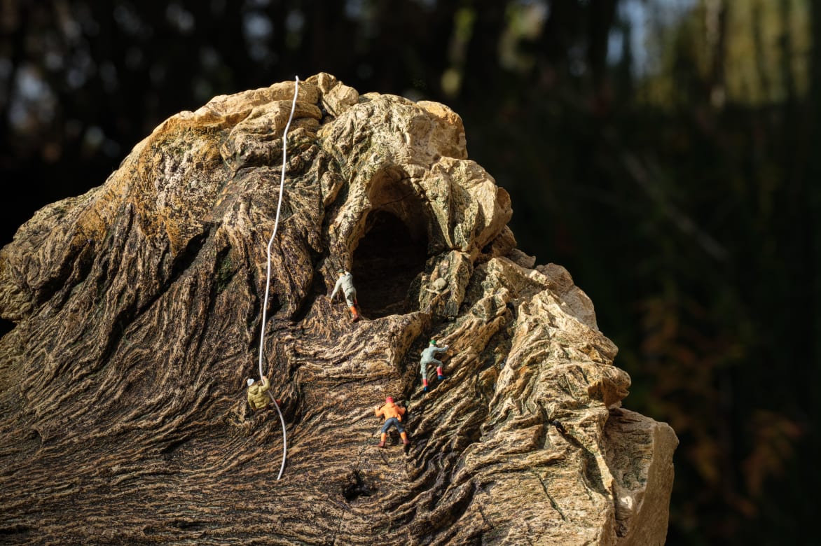 The image features a rugged rock formation with miniature climbers scaling its surface. A climbing rope extends from the top, and a cave entrance is visible on the side of the rock. The rock resembles a goosefish.