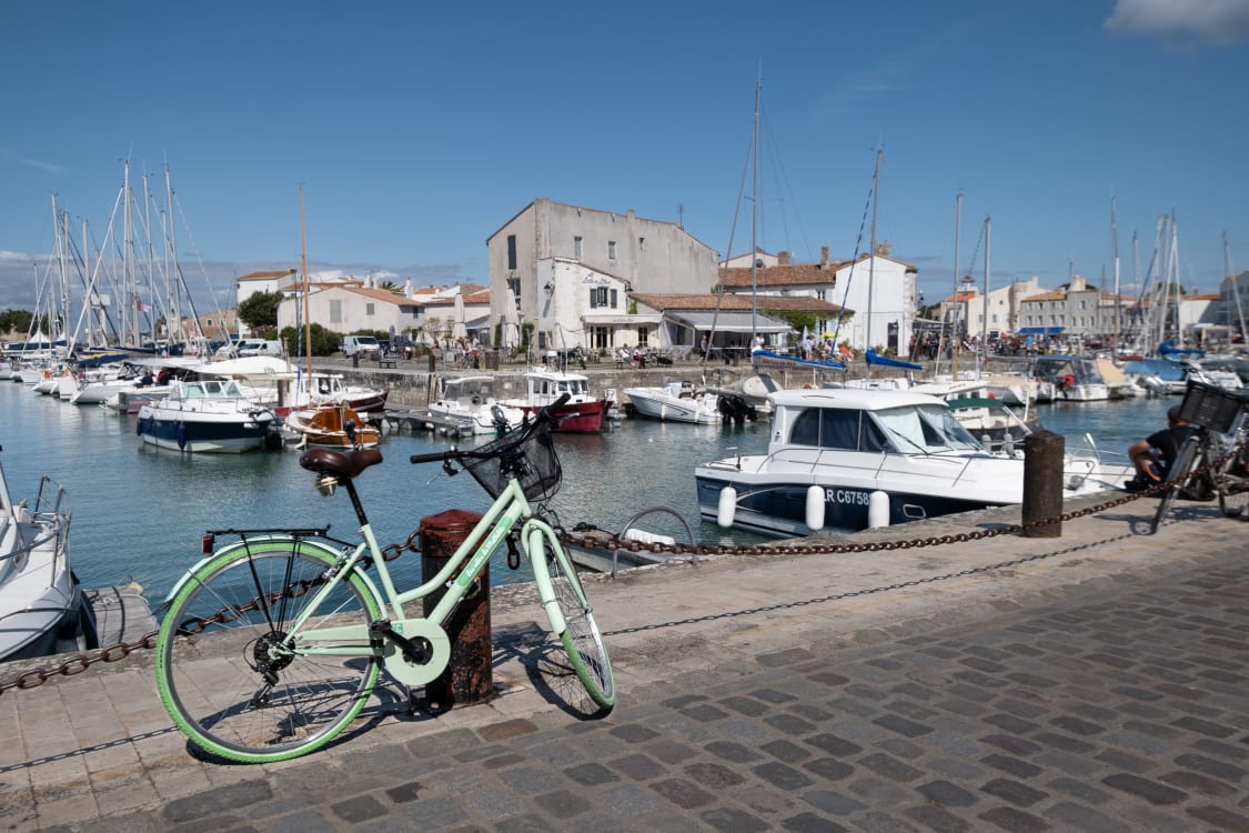 A scenic harbor view featuring a mint green bicycle parked beside the water. Numerous boats are docked in the marina, with buildings in the background and clear blue skies above.