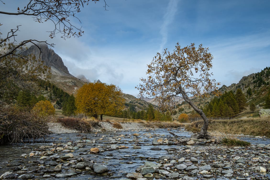 A mountainous landscape with a tree foreground, a rocky creek, and autumn foliage against a cloudy sky.