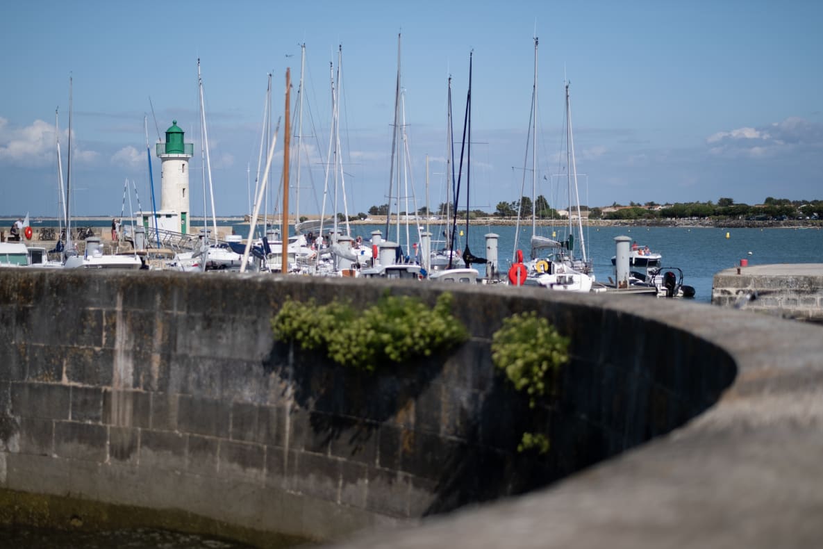 A scenic view of a harbor with several sailboats and a lighthouse featuring a green top. The foreground includes a stone wall with greenery, while the background shows a clear blue sky and calm water.