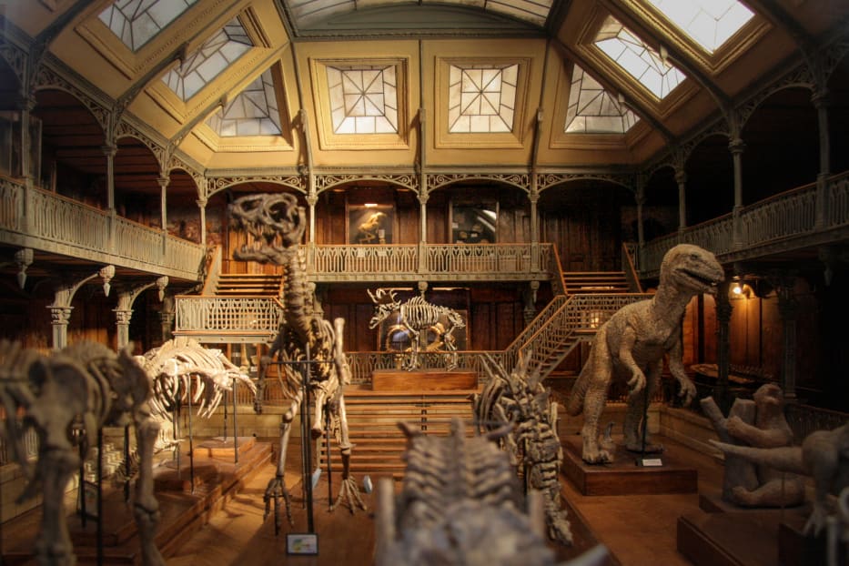 A detailed miniature of the interior of a museum, with dinosaur skeletons, wooden floors, and a staircase with intricate railings.