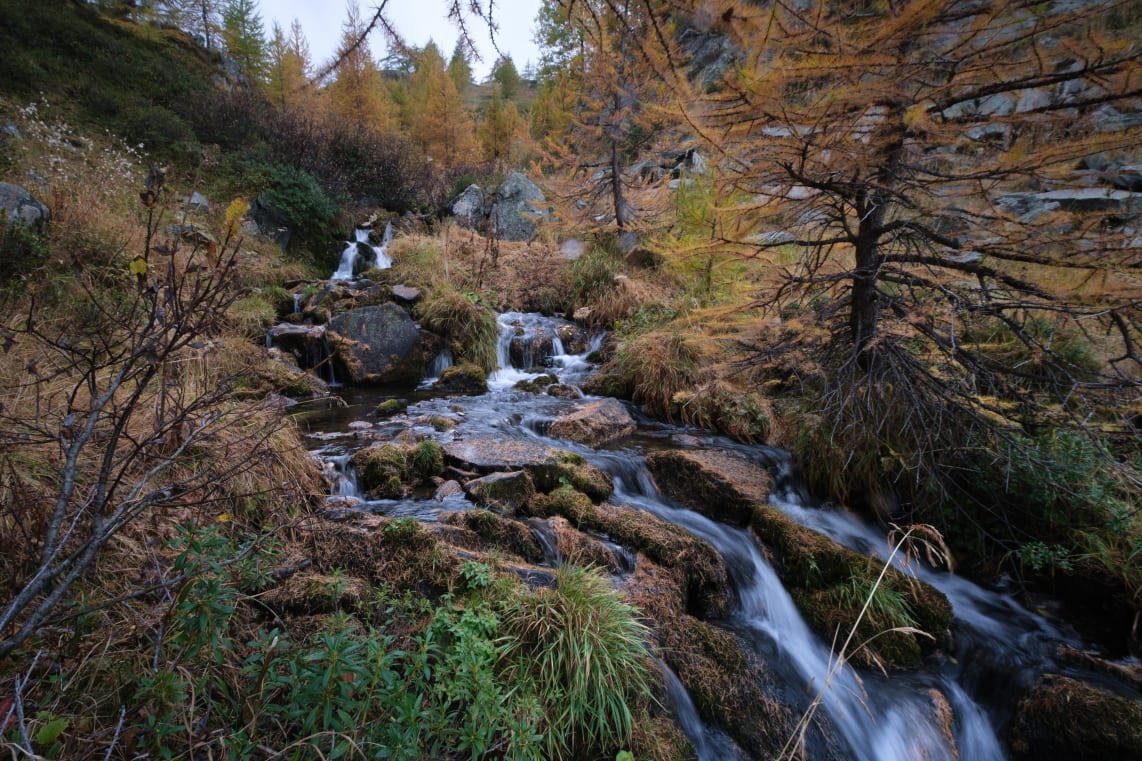 Small cascading waterfall in a forest with autumn foliage.