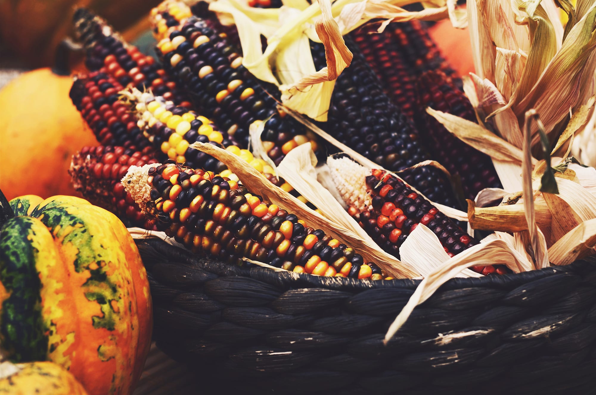 Varieties of coloured corn