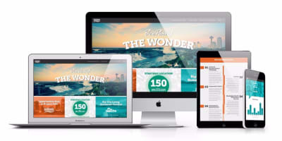 Business Development Website screenshot