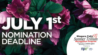 Summer Trillium Recognition Program for beautiful landscapes