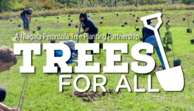 "Trees for All"