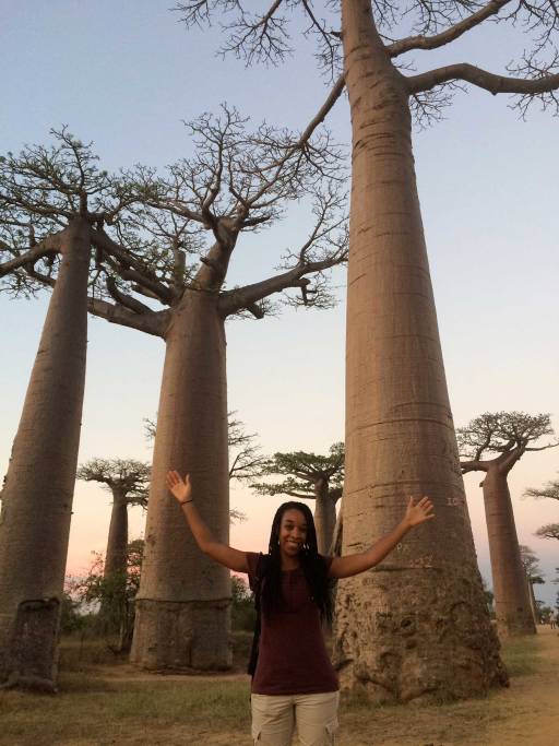 me standing with my arms up in front of baobab trees and a pink sky