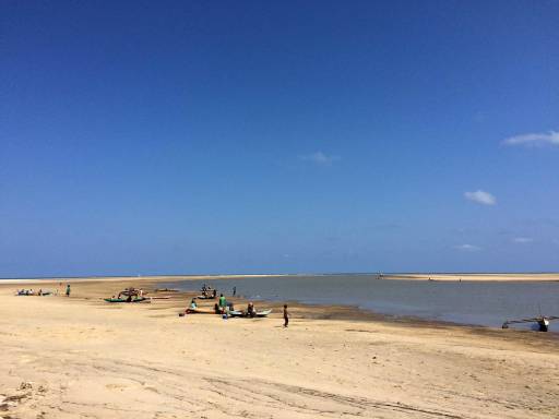 an expansive beach with a clear sky