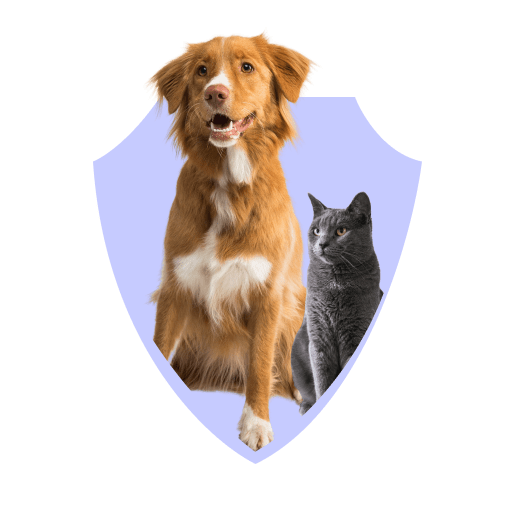 Nibbles Pet Insurance AllinOne Insurance for Your Pet