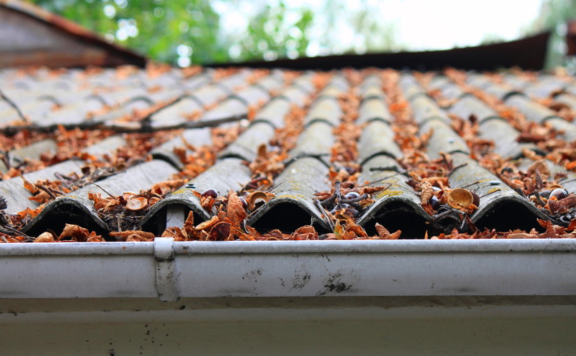 Lots of autumn leaves on a roof
