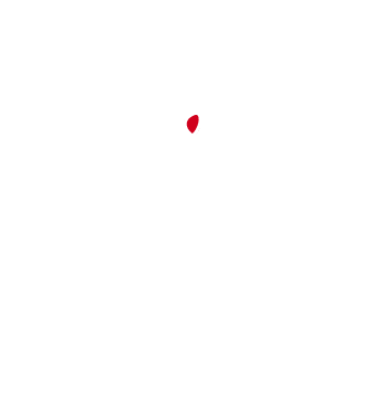 Heart of Movement logo, spiral form into the center.