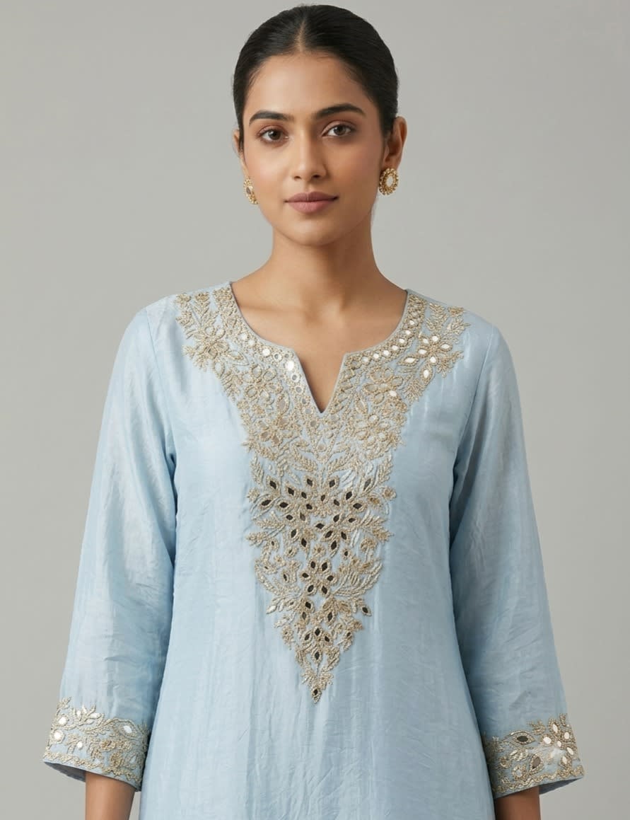Powder Blue Zari  Set view 2