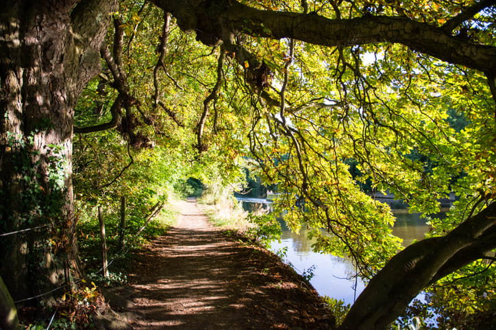 thames path