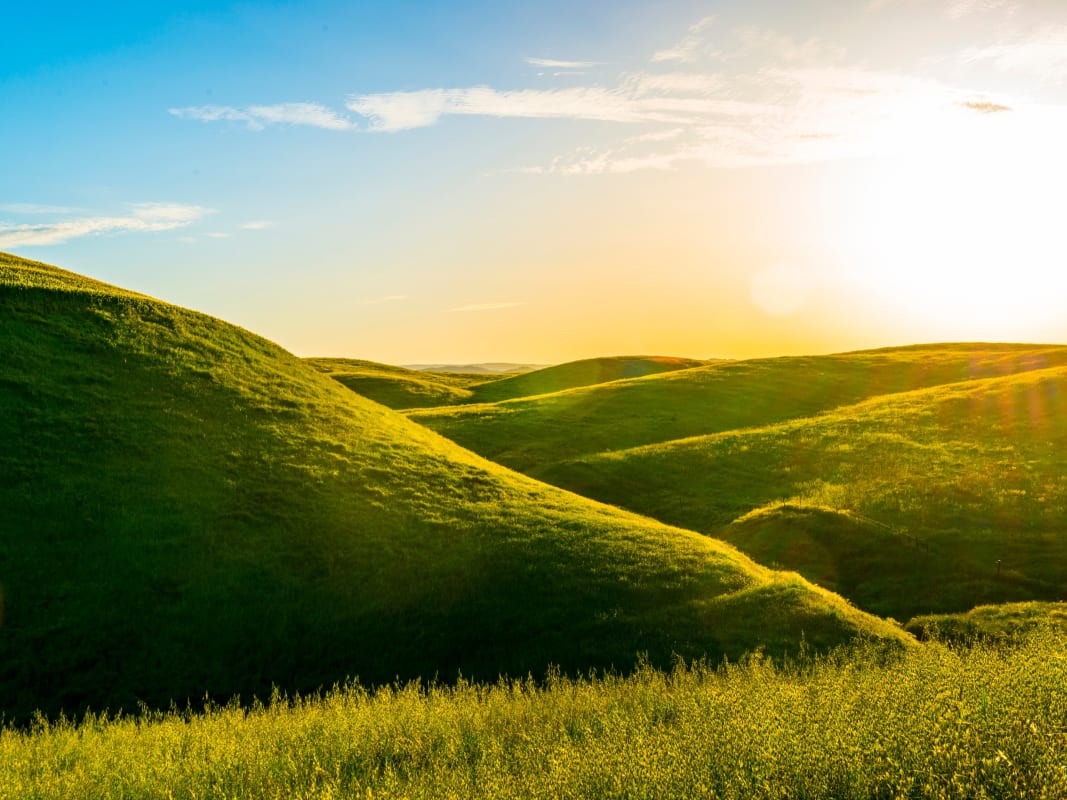 Golden Sunset Rolling Green Hills Dramatic Landscape