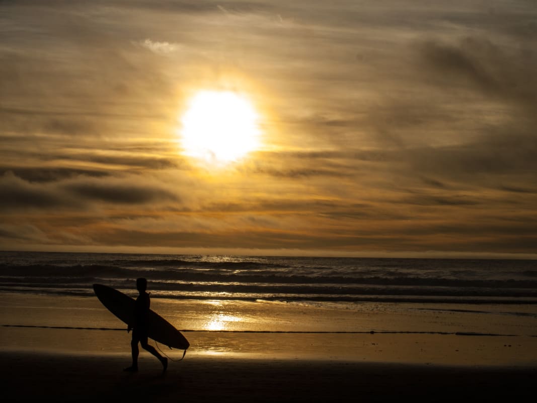 Surfer Silhouette Golden Sunset Ocean Beach Waves