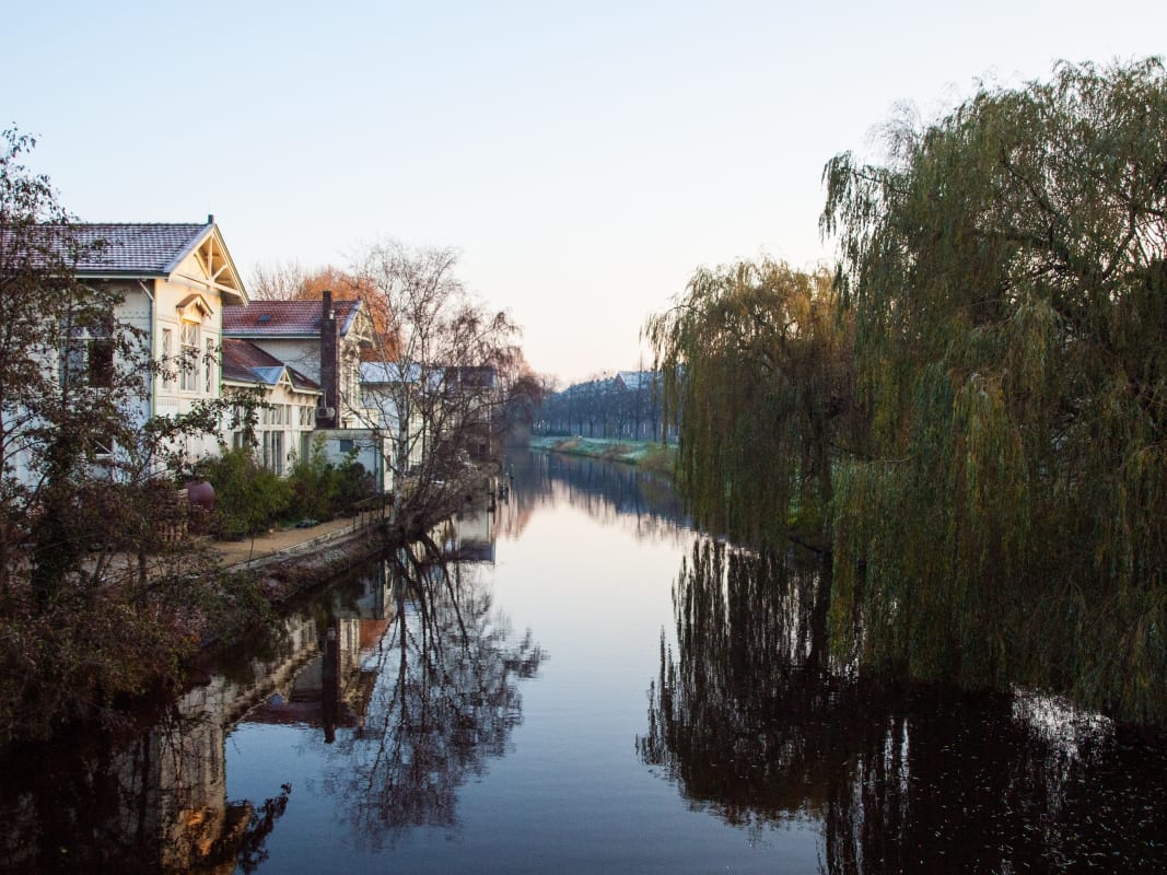 Tranquil Canal Weeping Willow Reflections Evening Light