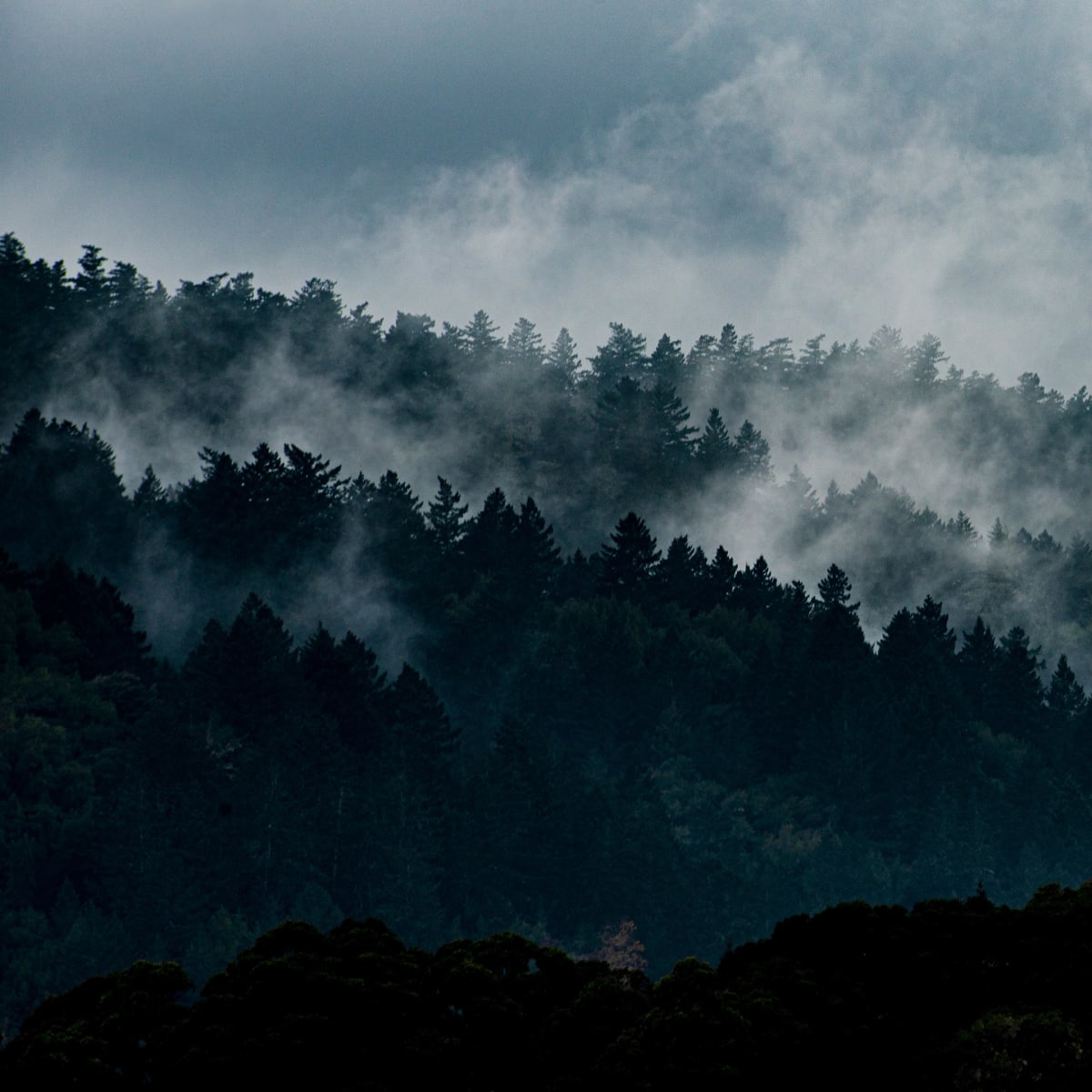Travel Photography