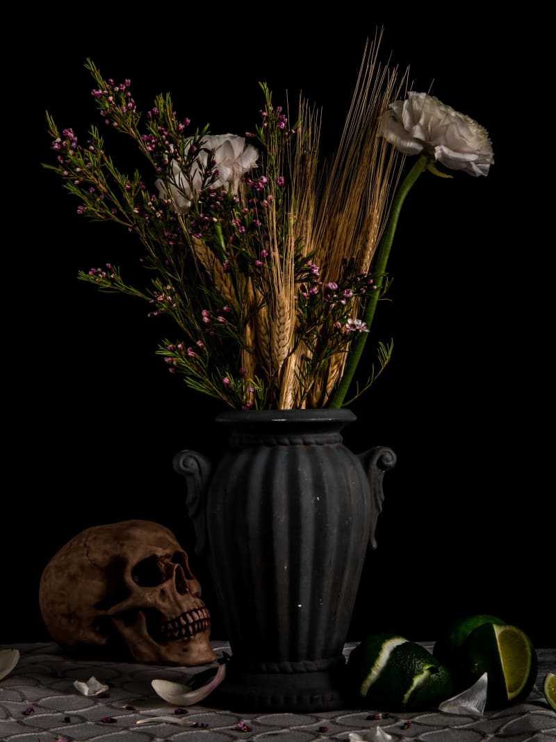 Dark Still Life Skull Flowers Memento Mori Composition