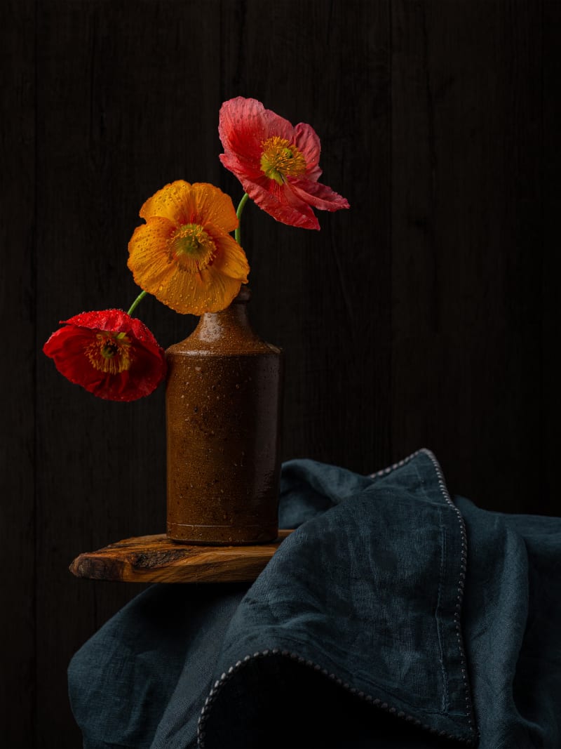 Papaver Radicatum Trio