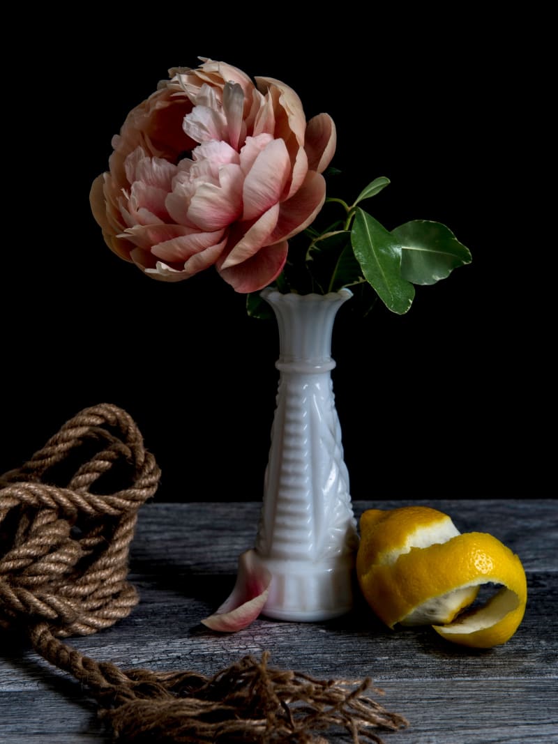 Pink Peony Still Life White Vase Rope Orange Wooden Table